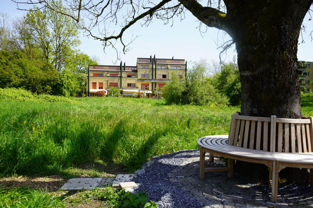 Die Projekte aus dem Ideenwettbewerb der Stadt Dübendorf nehmen langsam Form an.